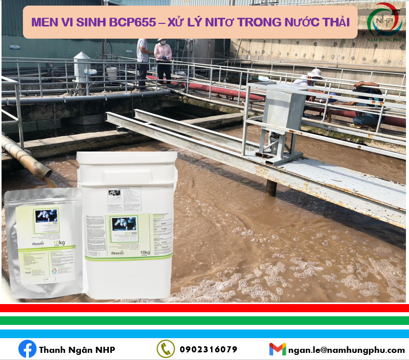 men vi sinh BCP655 xử lý Nitơ trong nước thải