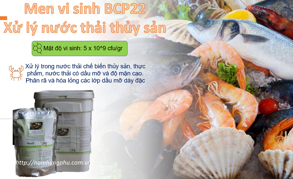 vi sinh BCP22 xử lý nước thải thực phẩm