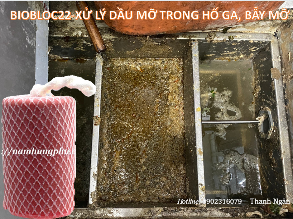 vi sinh dạng khối xử lý dầu mỡ hố ga, bẫy mỡ Biobloc22