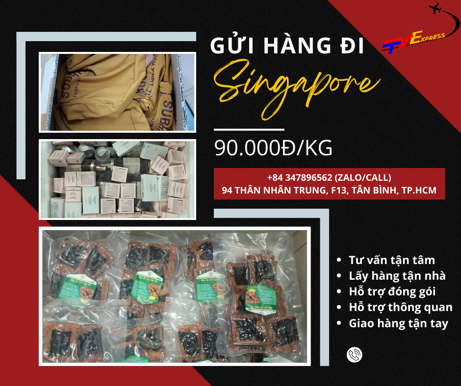 Vận chuyển Việt ==> Singapore - Tiến Việt Express