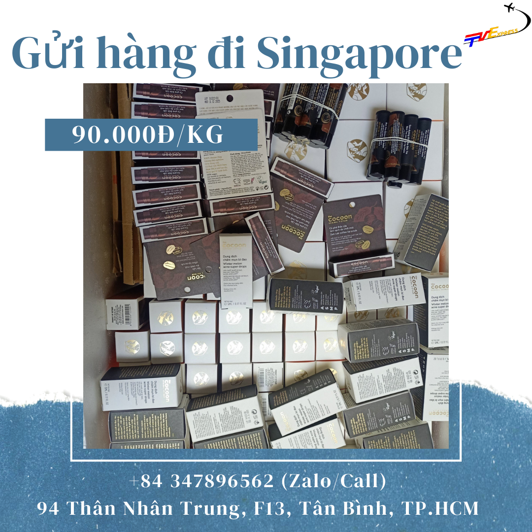 Vận chuyển đi Singapore giá rẻ uy tín tại Tiến Việt Express
