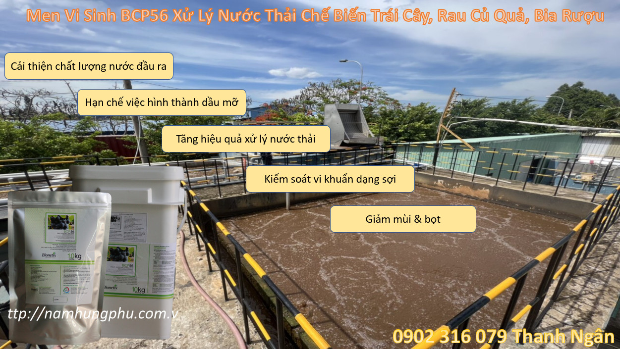 vi sinh môi trường BCP56 xử lý nước thải sản xuất trái cây