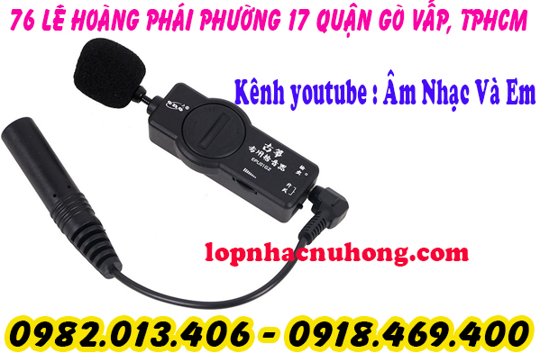 Địa chỉ bán pickup đàn tranh 17 dây, 19 dây, 22 dây  tại tphcm