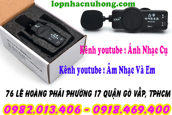 Địa chỉ bán pickup đàn tranh 17 dây, 19 dây, 22 dây  tại tphcm