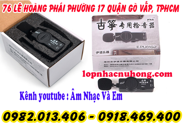 Địa chỉ bán pickup đàn tranh 17 dây, 19 dây, 22 dây  tại tphcm