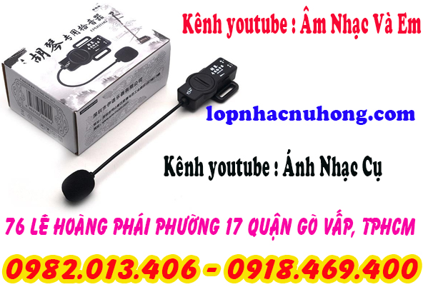 Pickup đàn nhị, cò, hồ tại gò vấp, sài gòn, tphcm