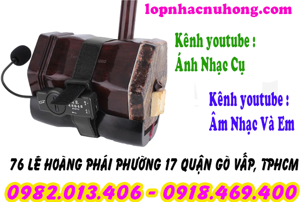 Pickup đàn nhị, cò, hồ tại gò vấp, sài gòn, tphcm