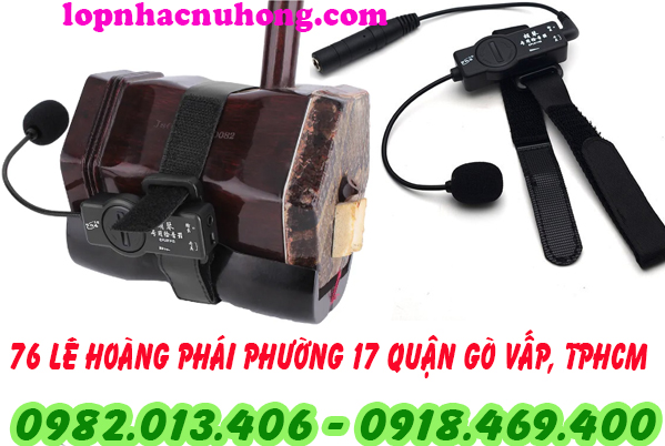 Pickup đàn nhị, cò, hồ tại gò vấp, sài gòn, tphcm