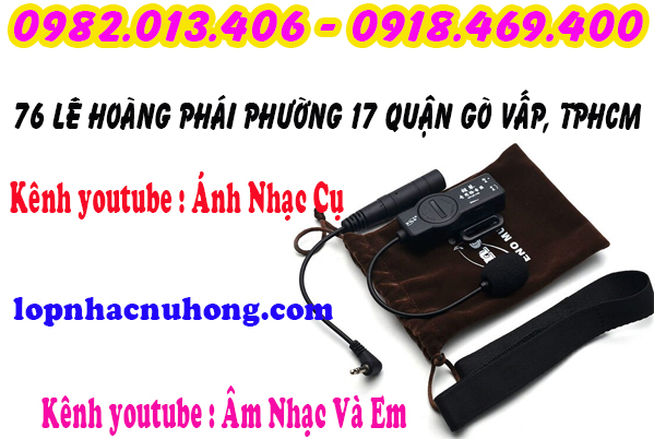 Pickup đàn nhị, cò, hồ tại gò vấp, sài gòn, tphcm