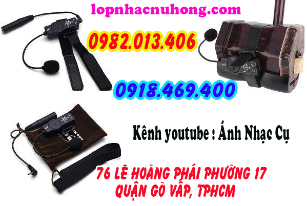 Pickup đàn nhị, cò, hồ tại gò vấp, sài gòn, tphcm