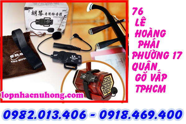 Pickup đàn nhị, cò, hồ tại gò vấp, sài gòn, tphcm