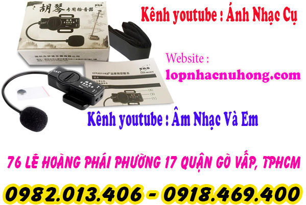 Pickup đàn nhị, cò, hồ tại gò vấp, sài gòn, tphcm