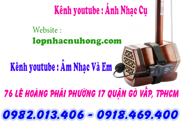 Pickup đàn nhị, cò, hồ tại gò vấp, sài gòn, tphcm