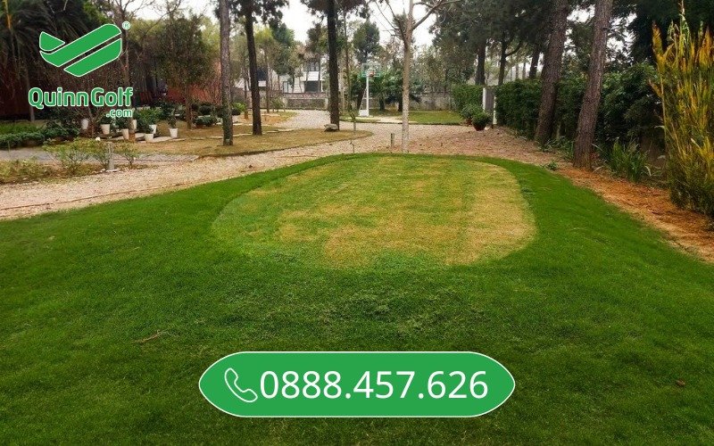 Mini Green Put - Sân Golf cỏ thật