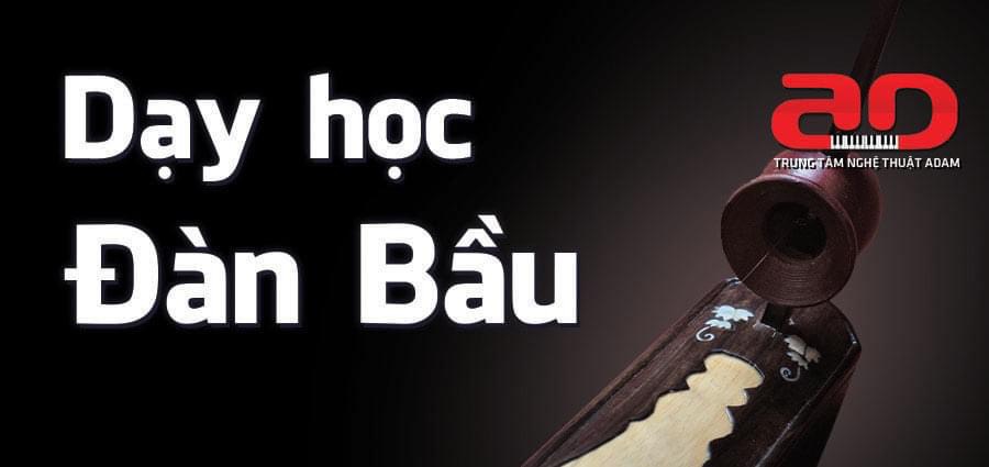 Trong ngôn ngữ thi ca, đàn bầu được nhắc đến với những ví von mượt mà