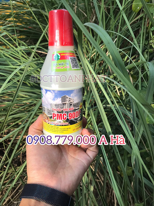 Dịch Vụ Diệt Mối Tận Gốc Tại Quận 1 thanh pho hồ chí minh