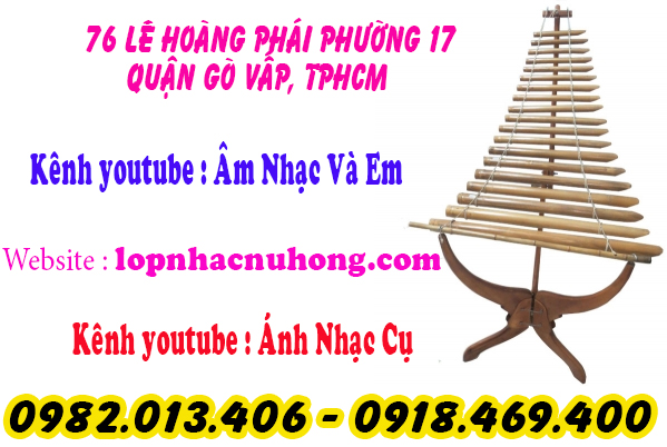 Địa chỉ nơi cho thuê đàn trưng tại gò vấp, tphcm