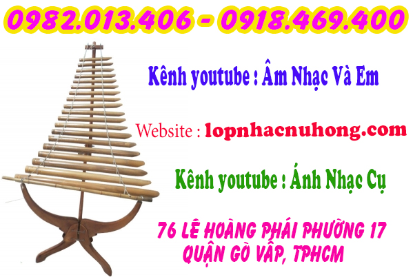 Địa chỉ nơi cho thuê đàn trưng tại gò vấp, tphcm