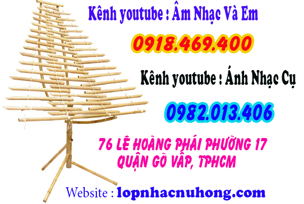 Địa chỉ nơi cho thuê đàn trưng tại gò vấp, tphcm