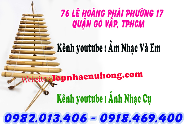 Địa chỉ nơi cho thuê đàn trưng tại gò vấp, tphcm