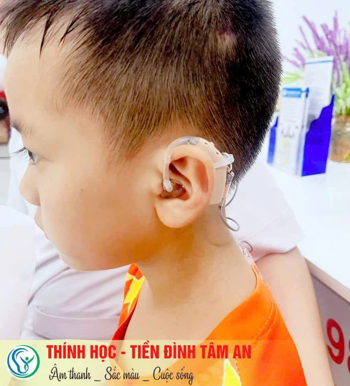 Máy      trợ     thính     Tâm An    Hải Dương