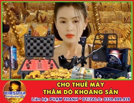 CHO THUÊ MÁY DÒ VÀNG TRONG LÒNG ĐẤT, MÁY THĂM DÒ KHOÁNG SẢN