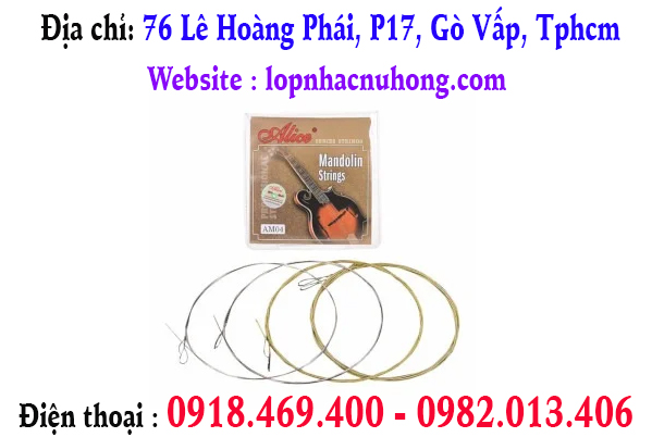 Địa điểm thay dây đàn mandolin tại gò vấp, tphcm, sài gòn