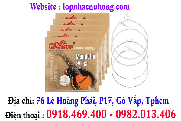 Địa điểm thay dây đàn mandolin tại gò vấp, tphcm, sài gòn