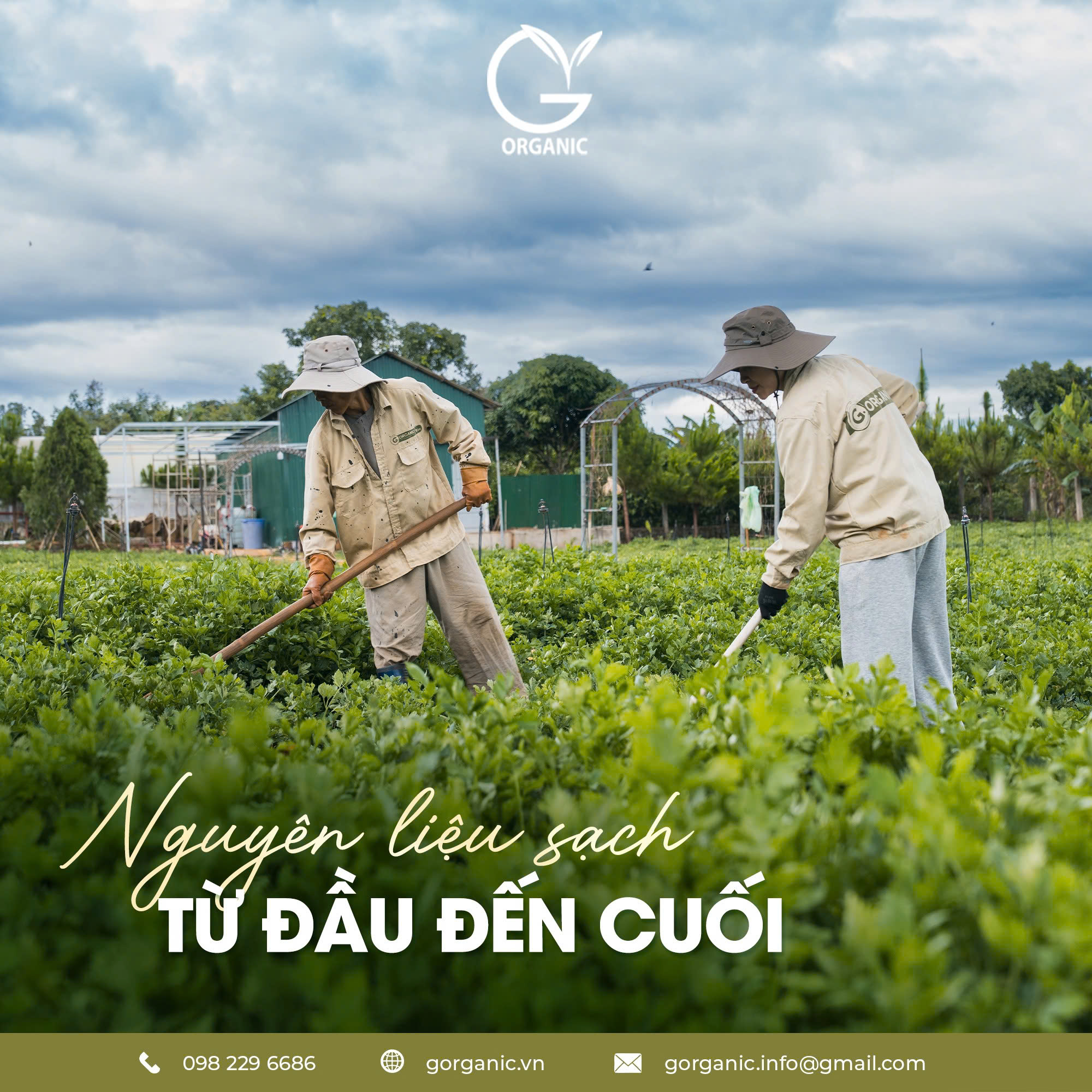 G.Organic thực phẩm không chỉ nuôi thân - mà còn nuôi cả tâm & trí