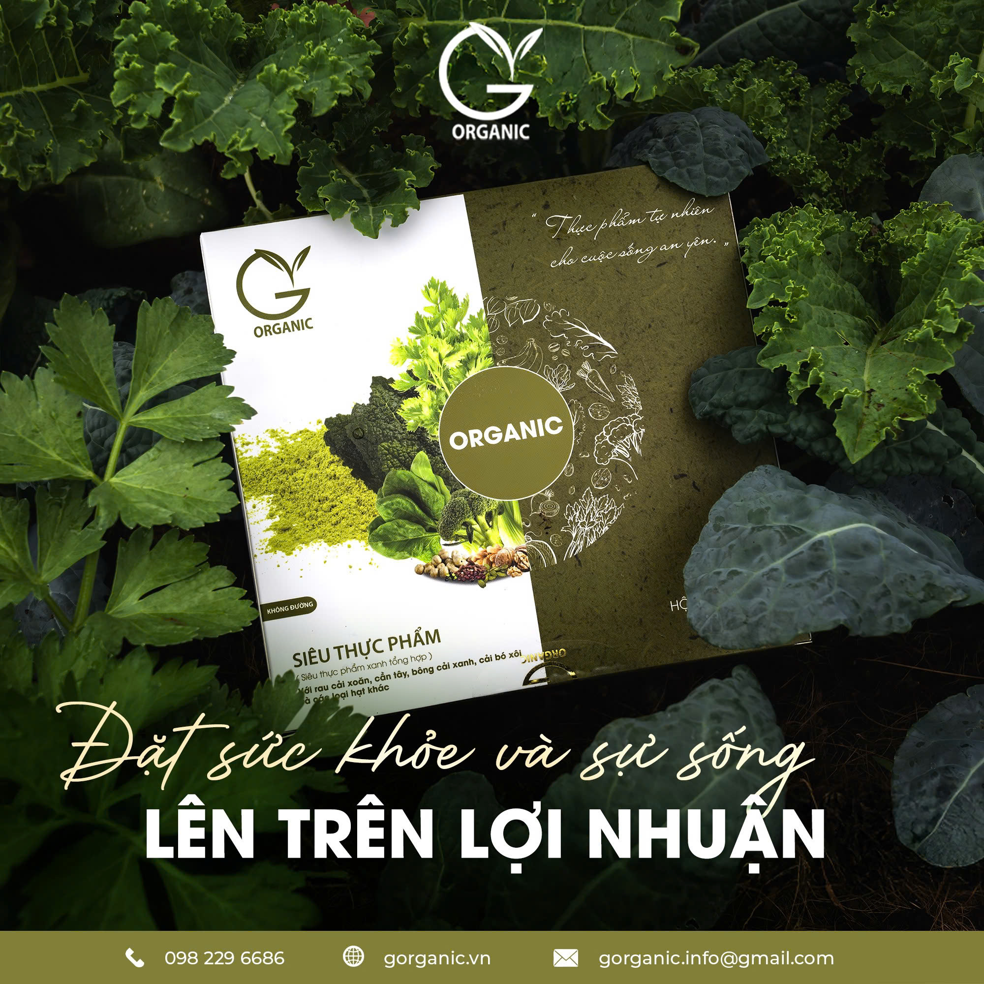 G.Organic thực phẩm không chỉ nuôi thân - mà còn nuôi cả tâm & trí