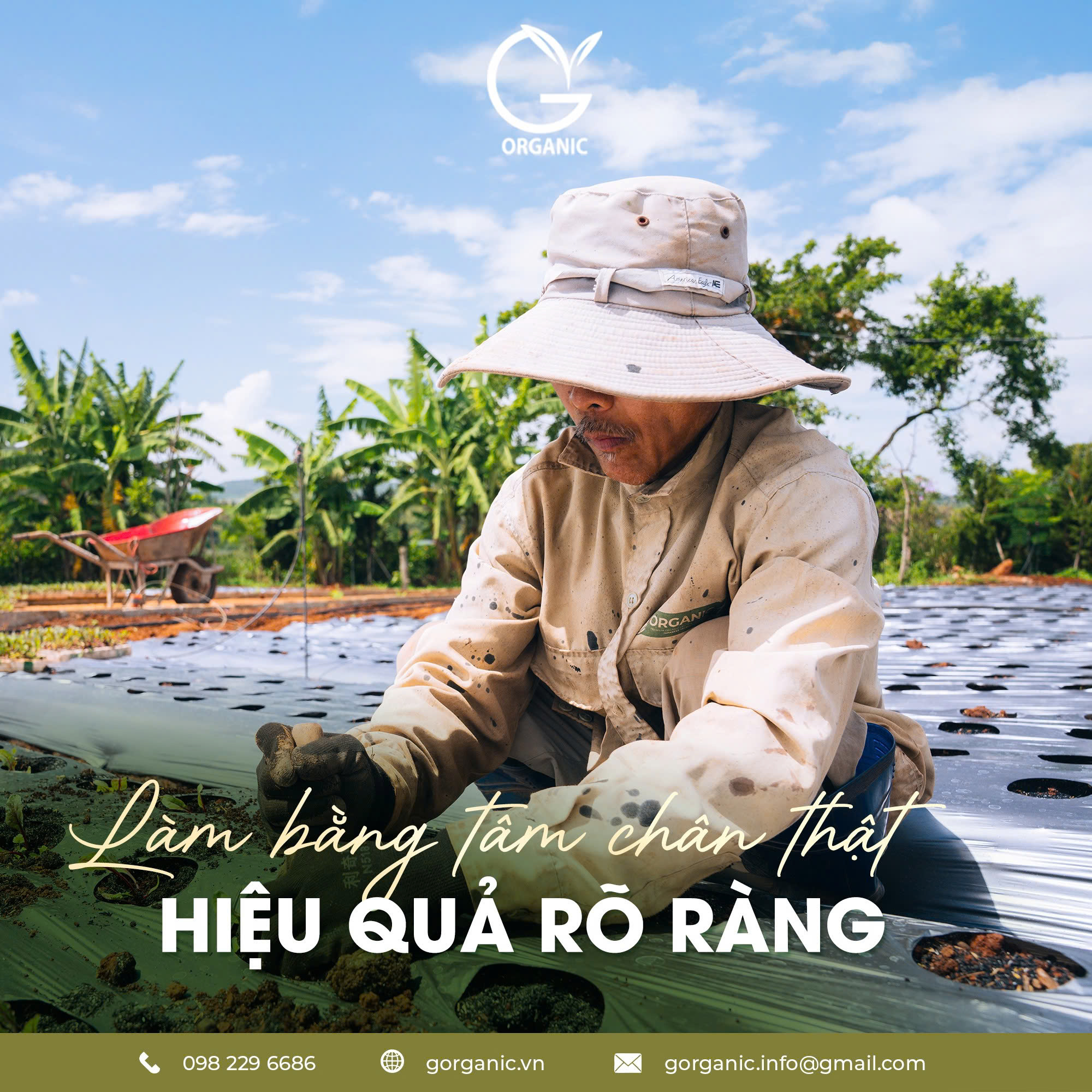 G.Organic thực phẩm không chỉ nuôi thân - mà còn nuôi cả tâm & trí