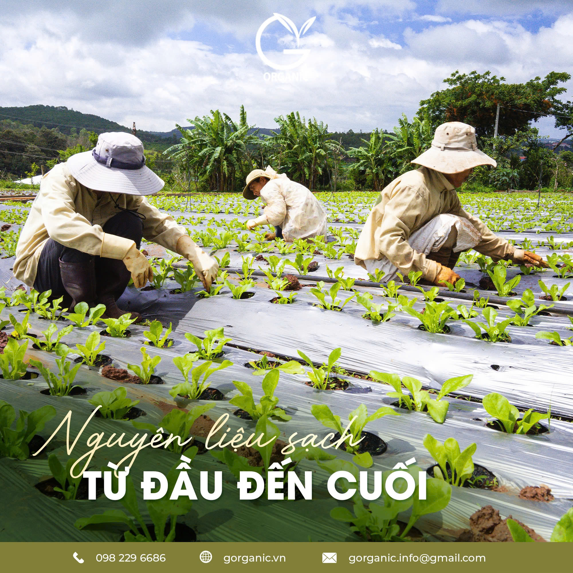 G.Organic thực phẩm không chỉ nuôi thân - mà còn nuôi cả tâm & trí