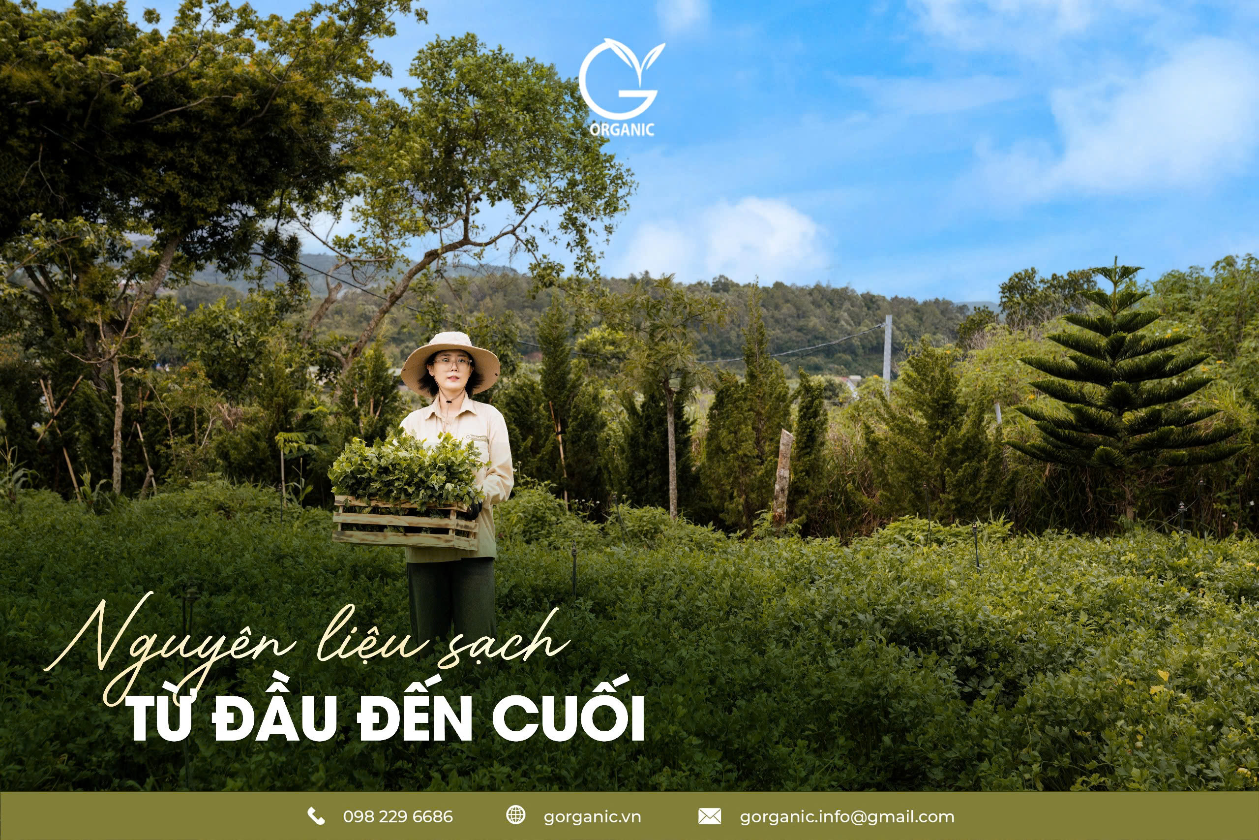 G.Organic thực phẩm không chỉ nuôi thân - mà còn nuôi cả tâm & trí