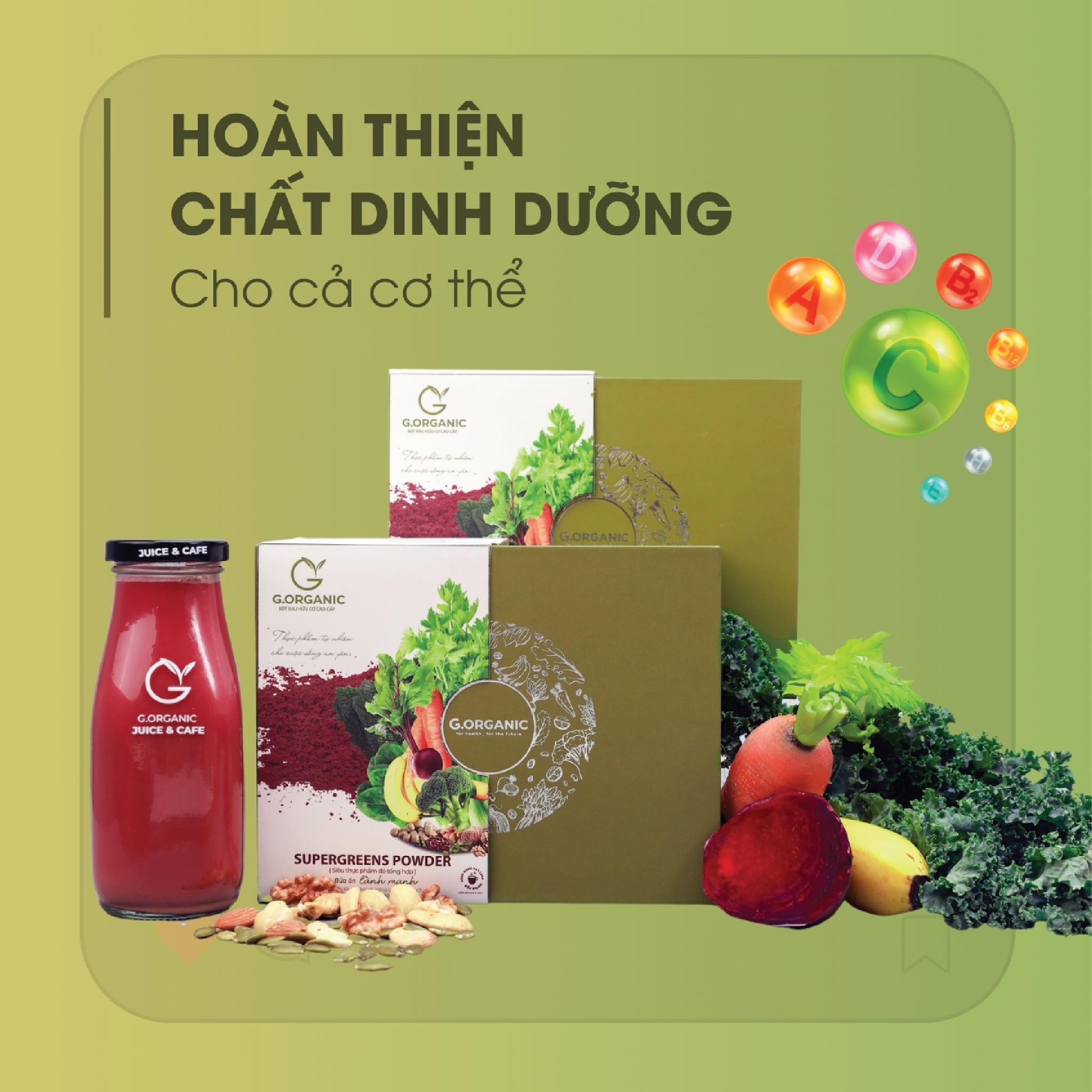 Giải pháp hỗ trợ sức khoẻ đường ruột từ chất xơ và vitamin G.Organic