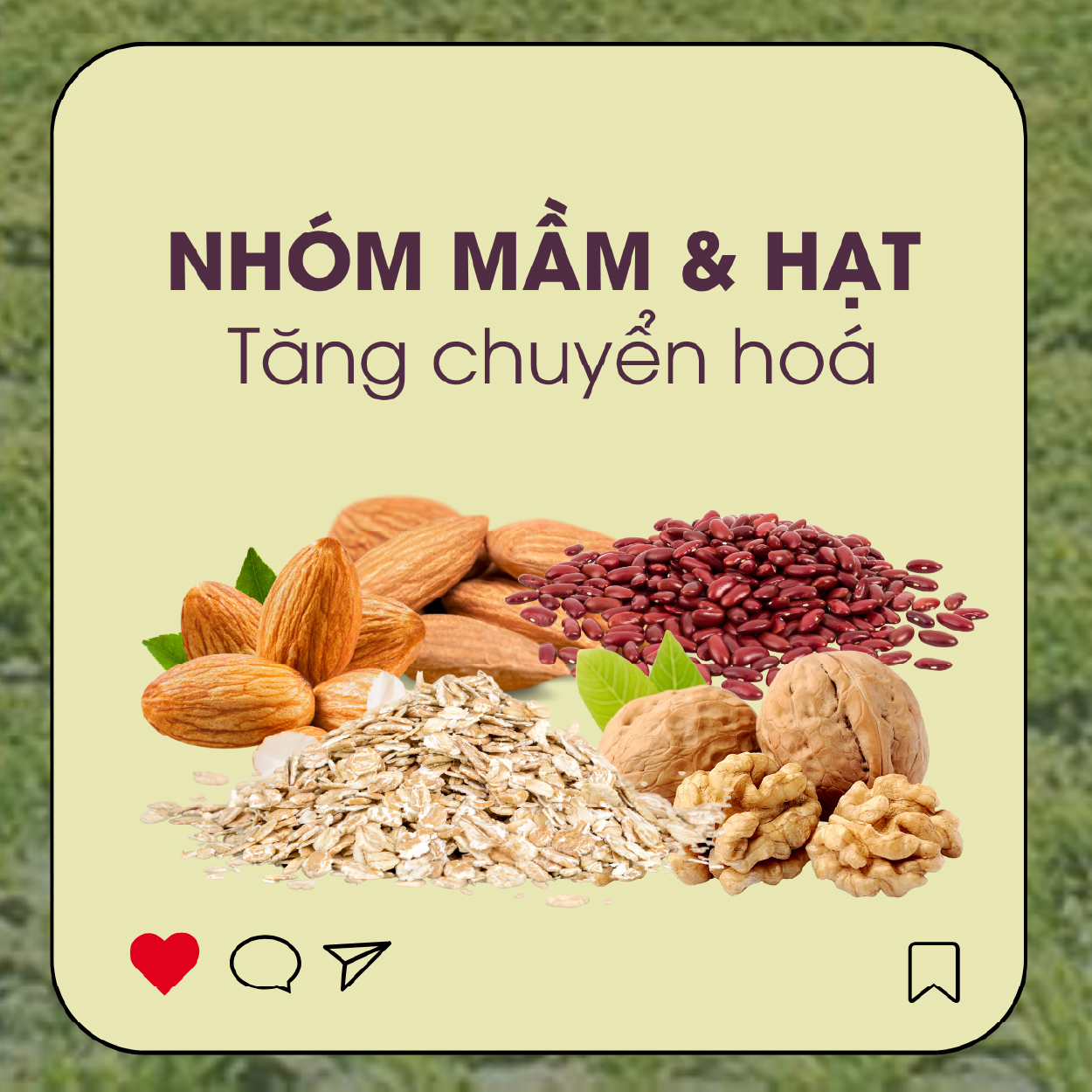 G.Organic - Từ tâm huyết cá nhân đến hệ sinh thái nông nghiệp