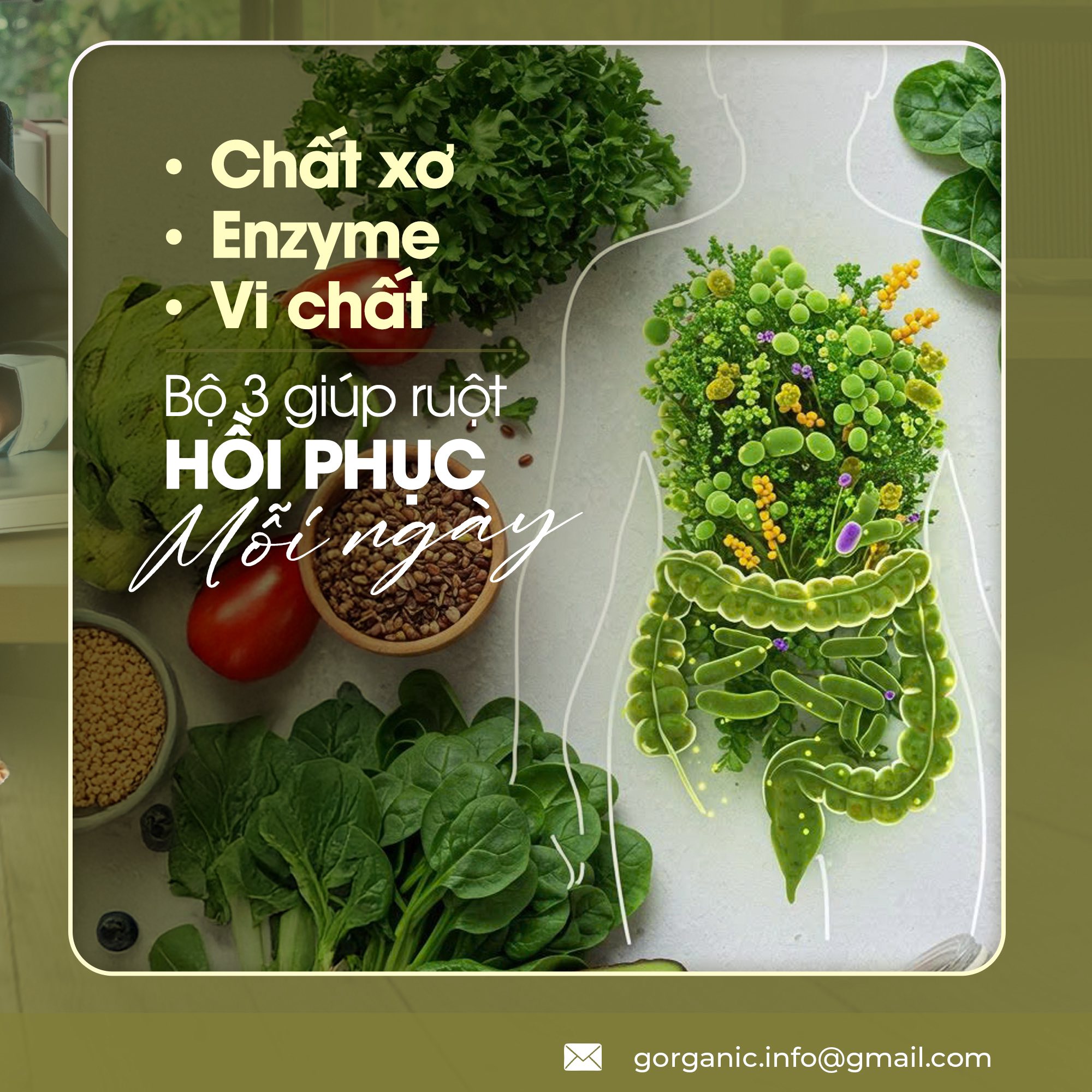 Từ đất lành, gieo mầm hữu cơ - G.Organic
