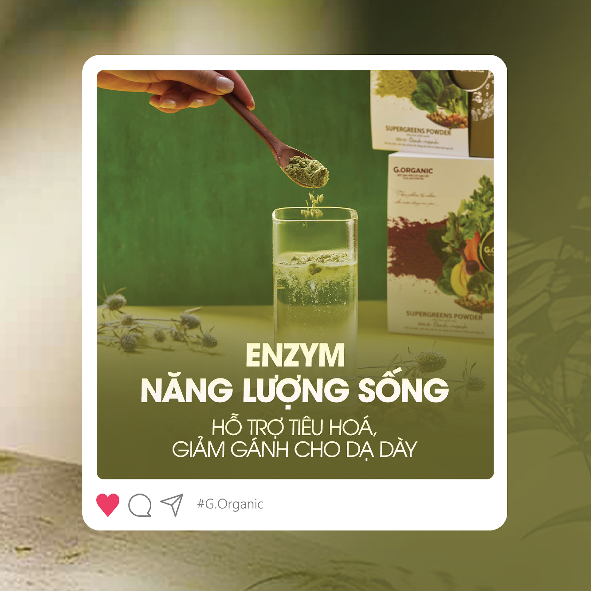 Từ đất lành, gieo mầm hữu cơ - G.Organic