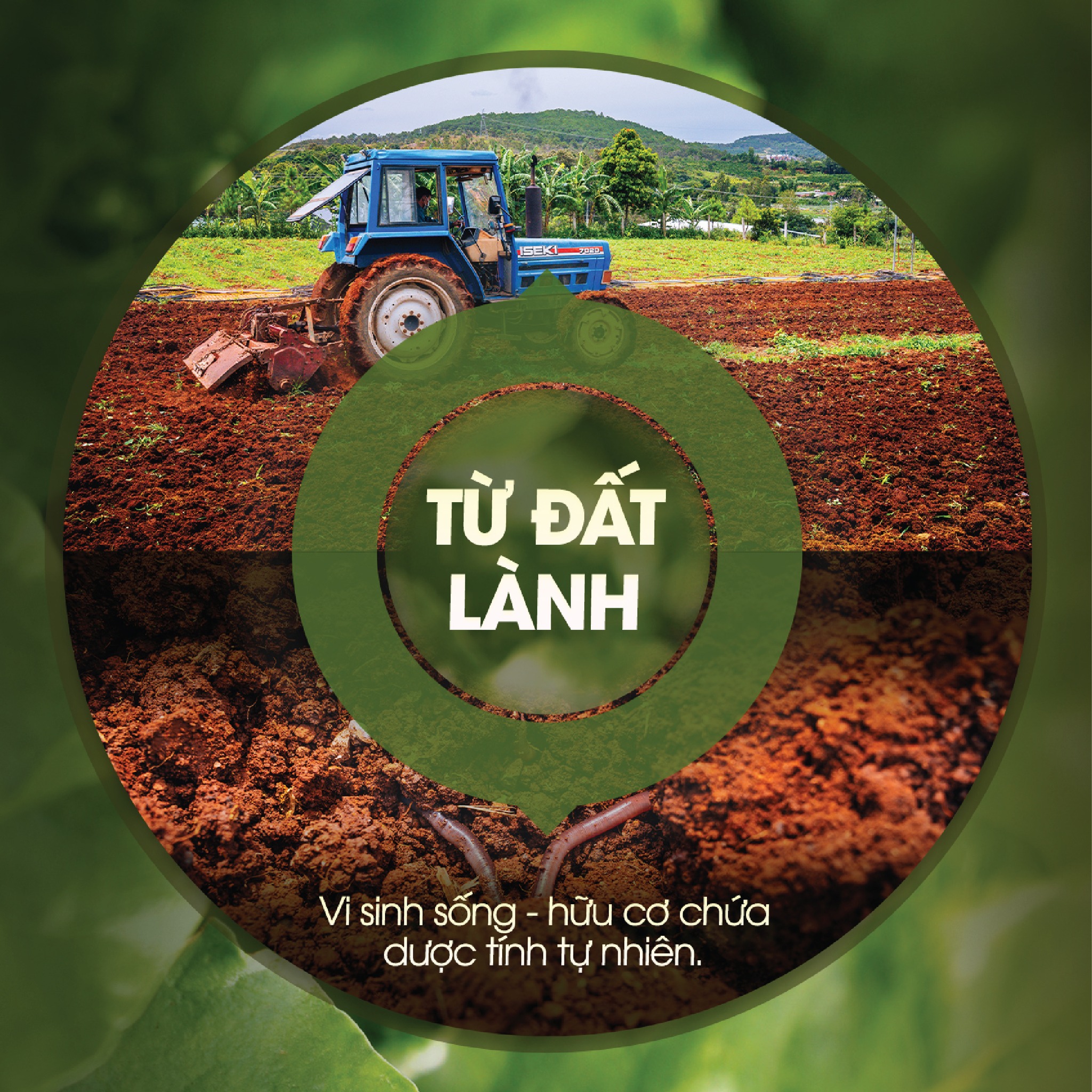 Từ đất lành, gieo mầm hữu cơ - G.Organic
