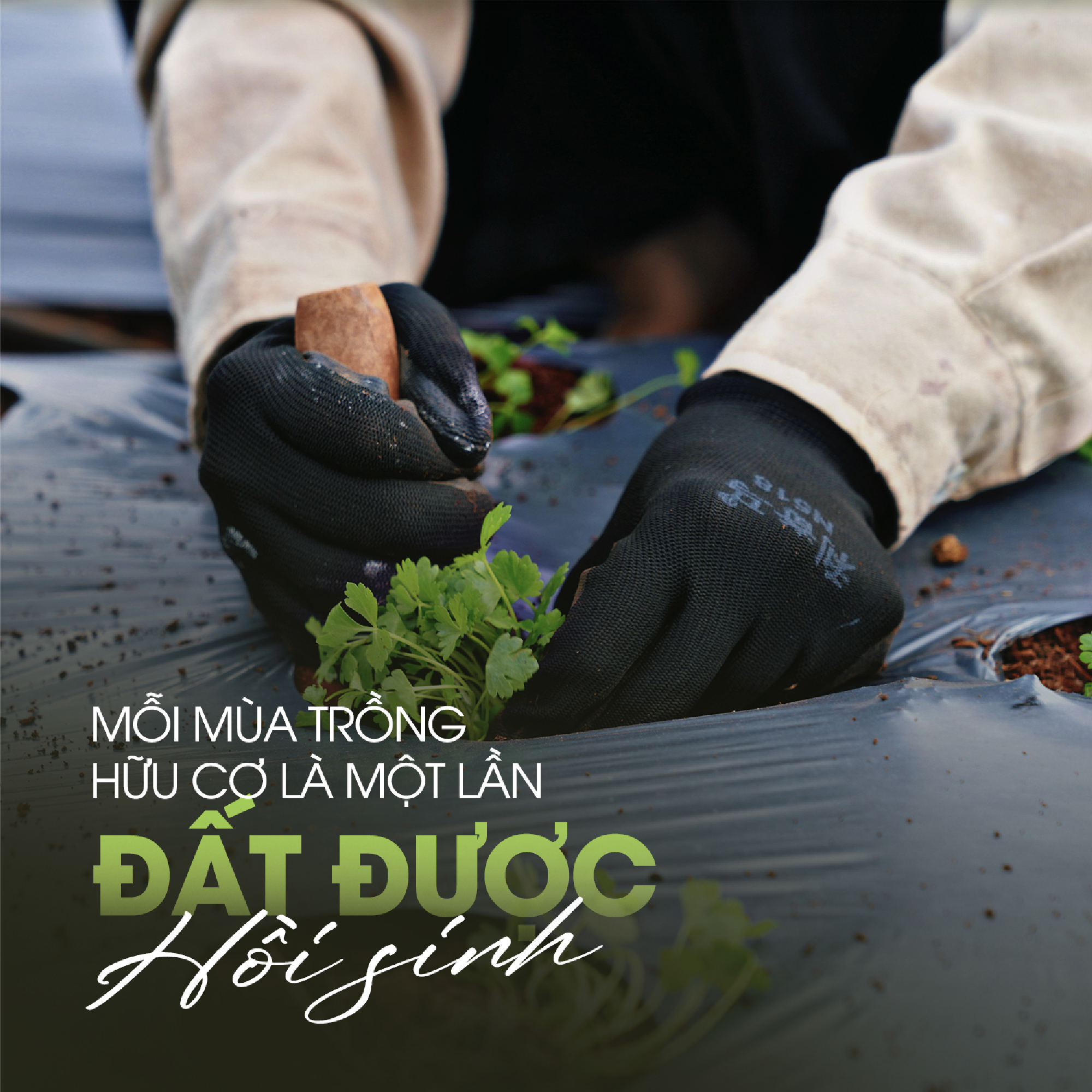 Sản phẩm tự nhiên, cho cuộc sống an yên - G.Organic