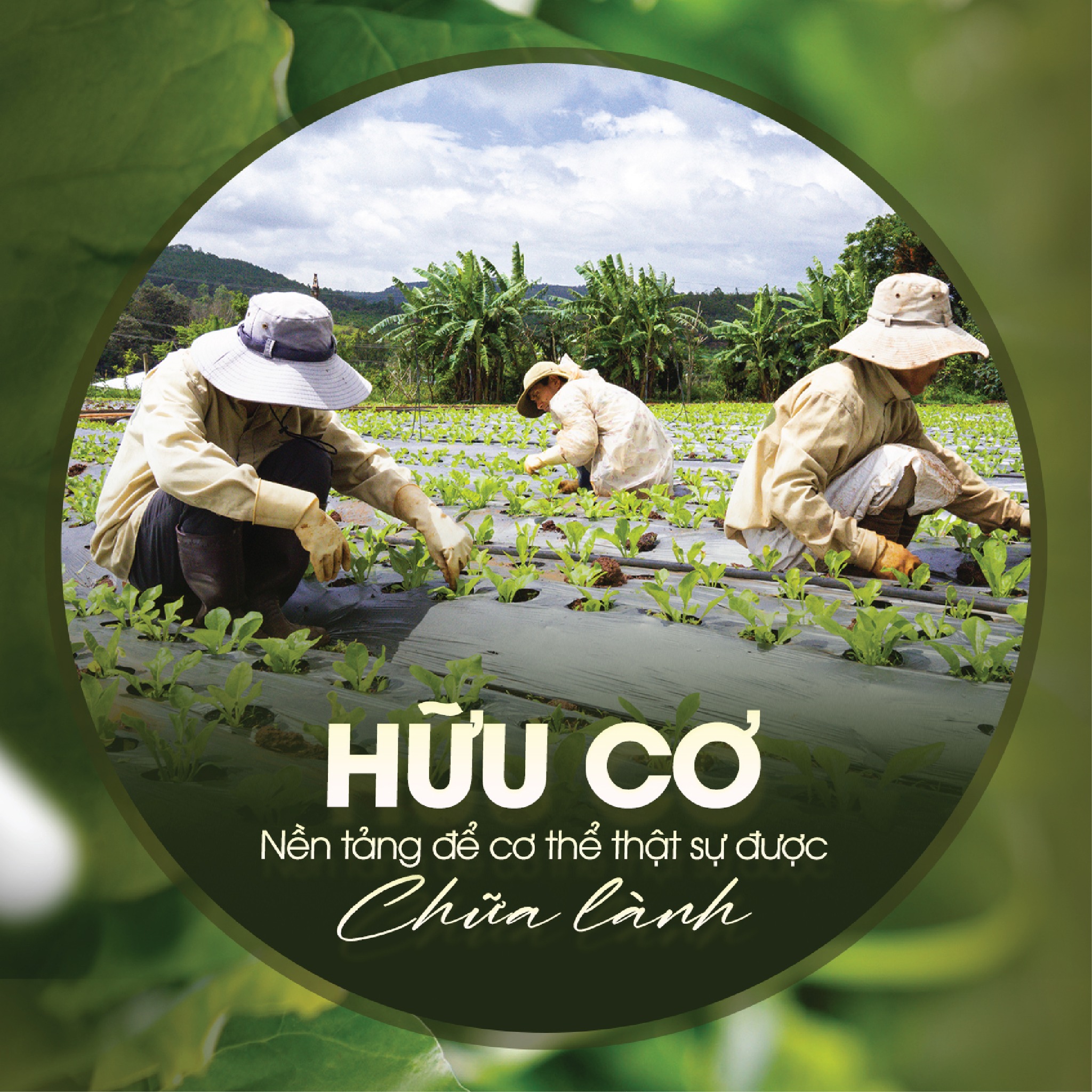 Sản phẩm tự nhiên, cho cuộc sống an yên - G.Organic