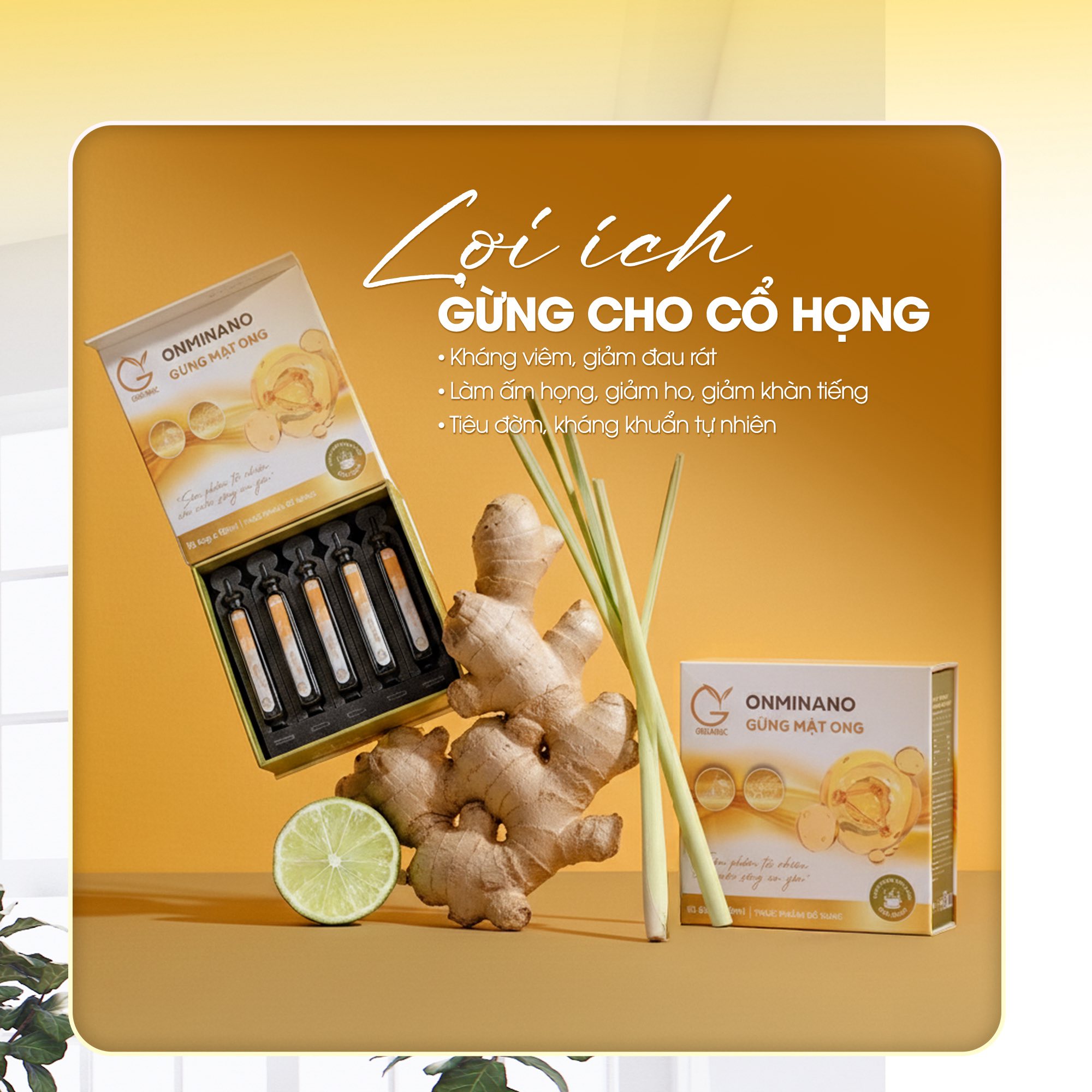 Giữ ấm giọng nói - giữ ấm năng lượng mỗi ngày