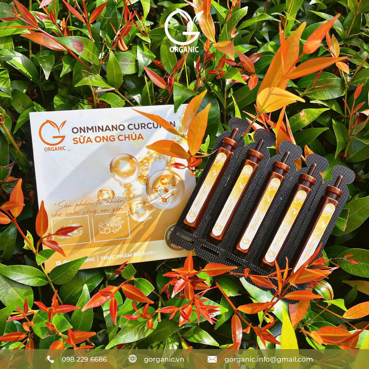 Kháng viêm từ bên trong - bí quyết của cơ thể khoẻ và làn da đẹp