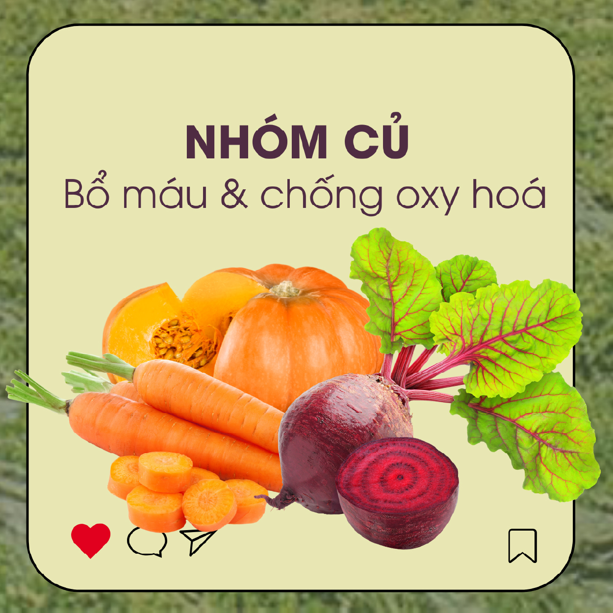 Củ dền - một trong những loại củ có năng lượng xanh