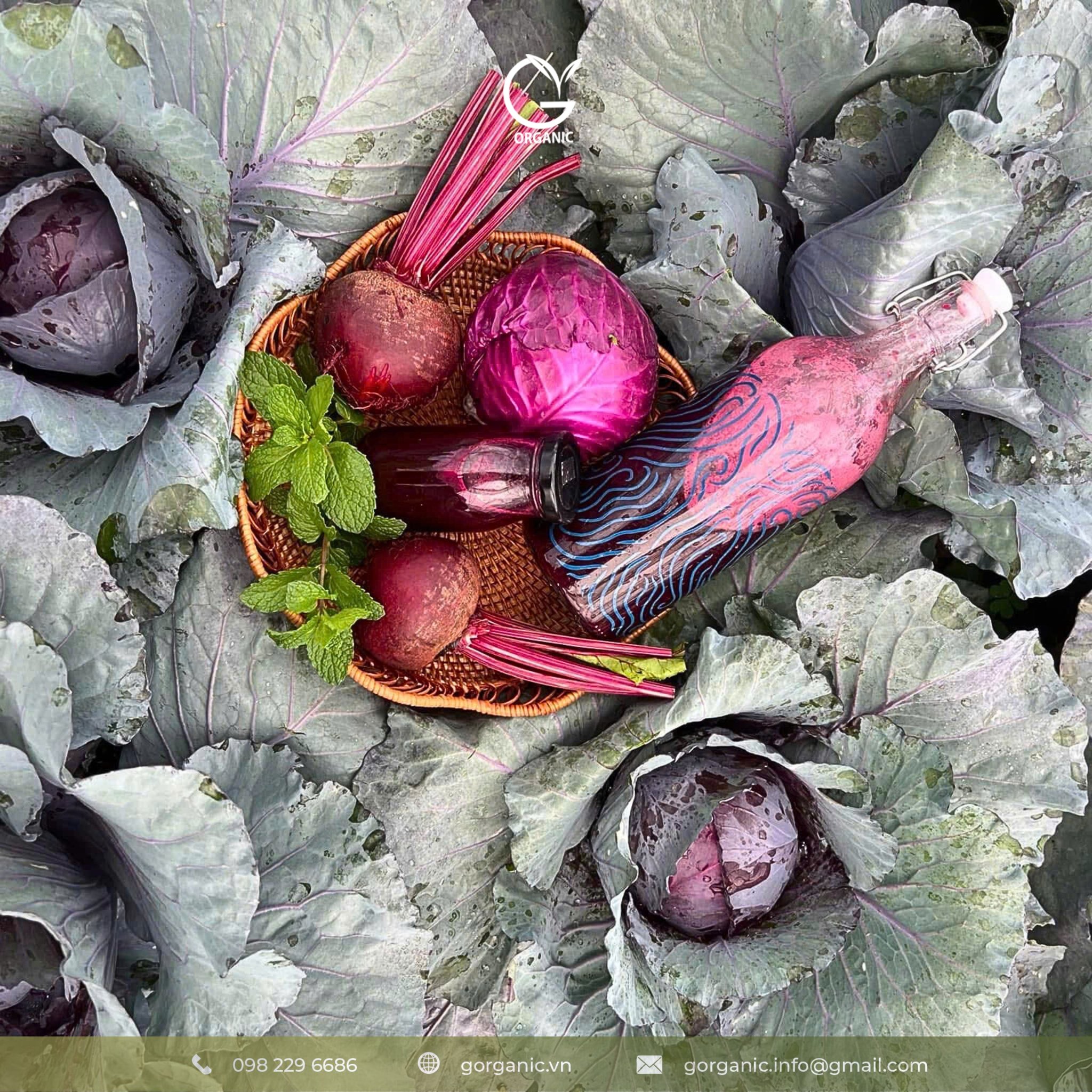 Củ dền - một trong những loại củ có năng lượng xanh