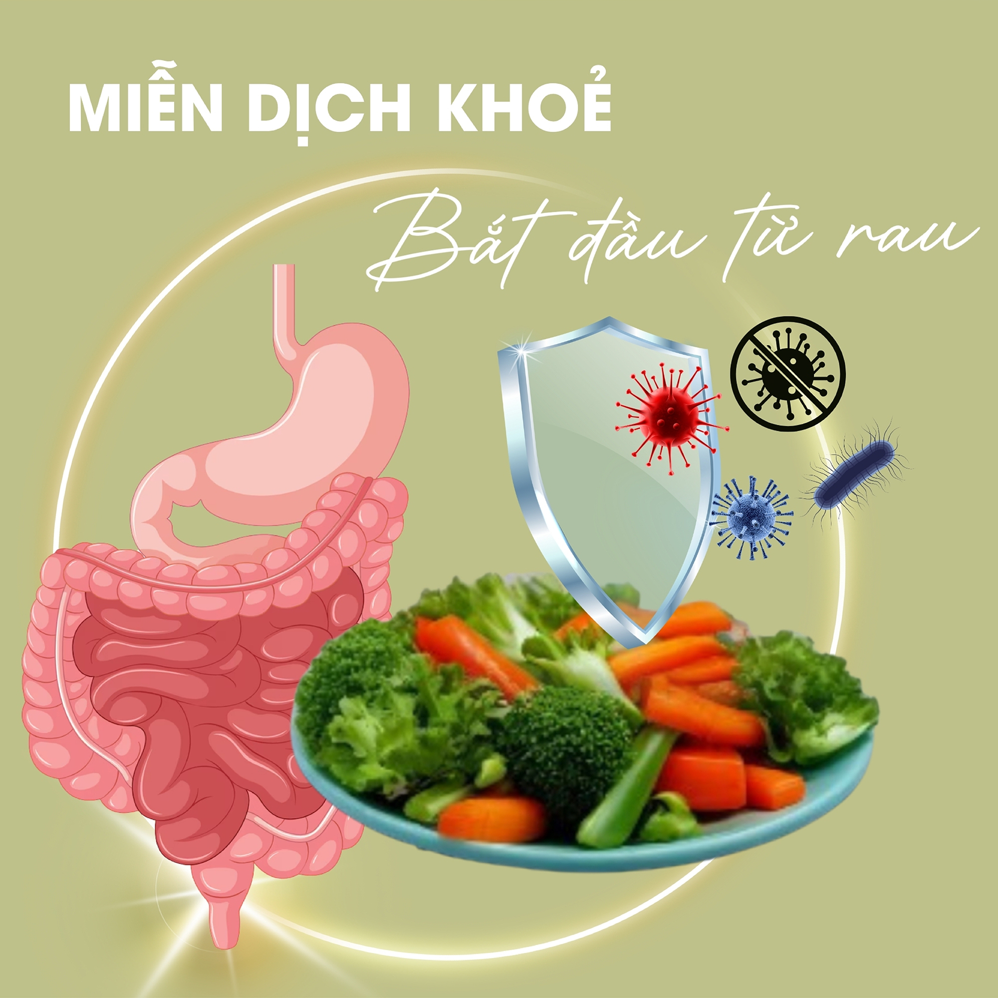 Giải nhiệt cơ thể, tạm biệt nóng trong người với bột rau củ tổng hợp