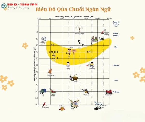 Tìm hiểu về vùng quả chuối ngôn ngữ