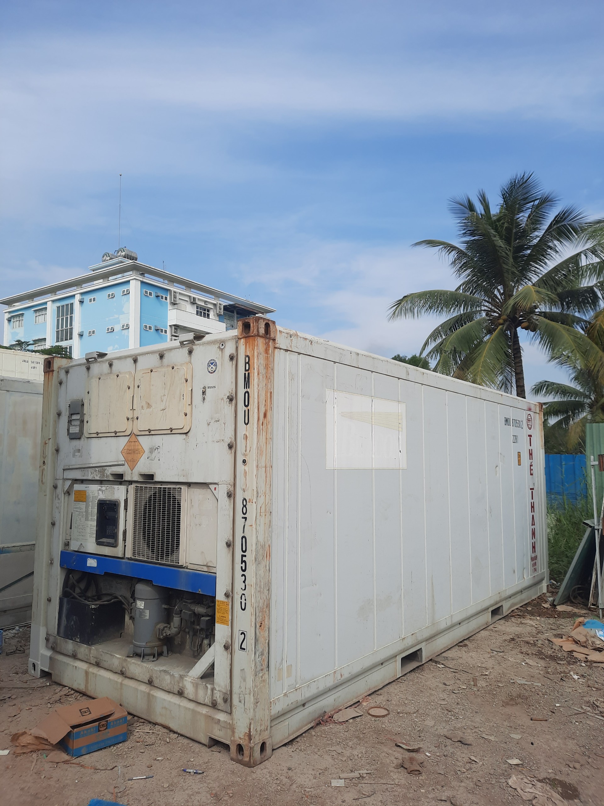 Container lạnh 20 feet làm nông sản và thực phẩm Tết