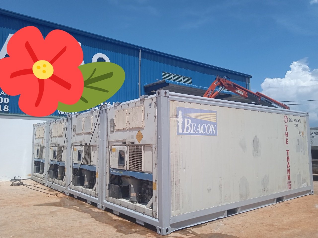 Giao container lạnh 20 feet về miền Tây cho khách