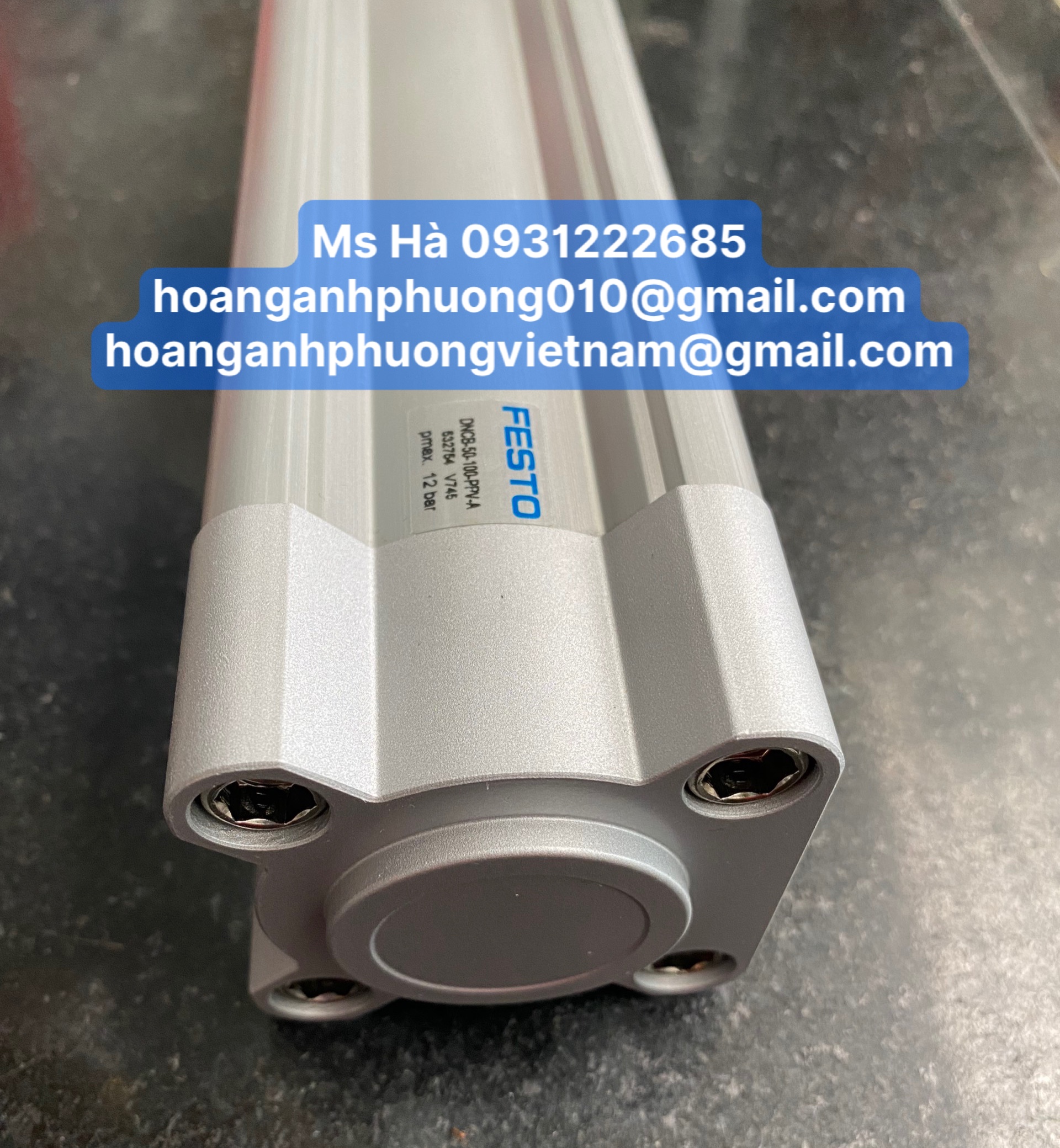 DNCB series - Xy lanh Festo DNCB-50-100-PPV-A