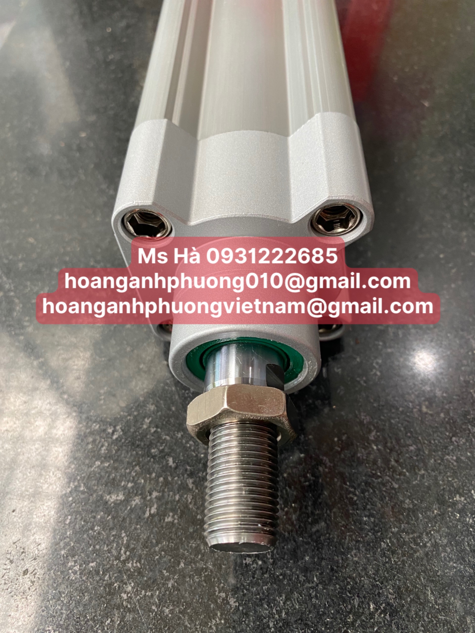 DNCB series - Xy lanh Festo DNCB-50-100-PPV-A